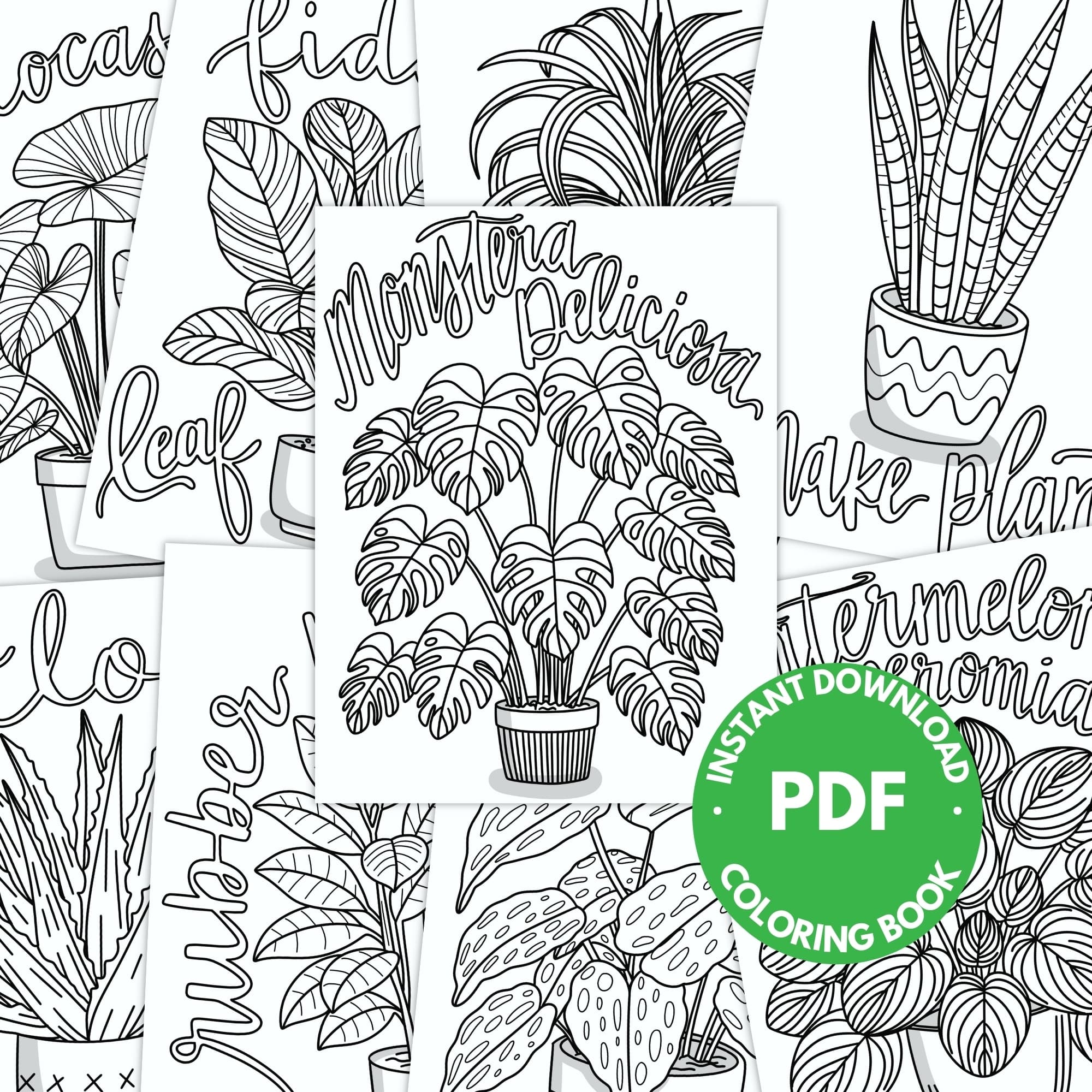 Houseplant Coloring Pages - thumbnail 6