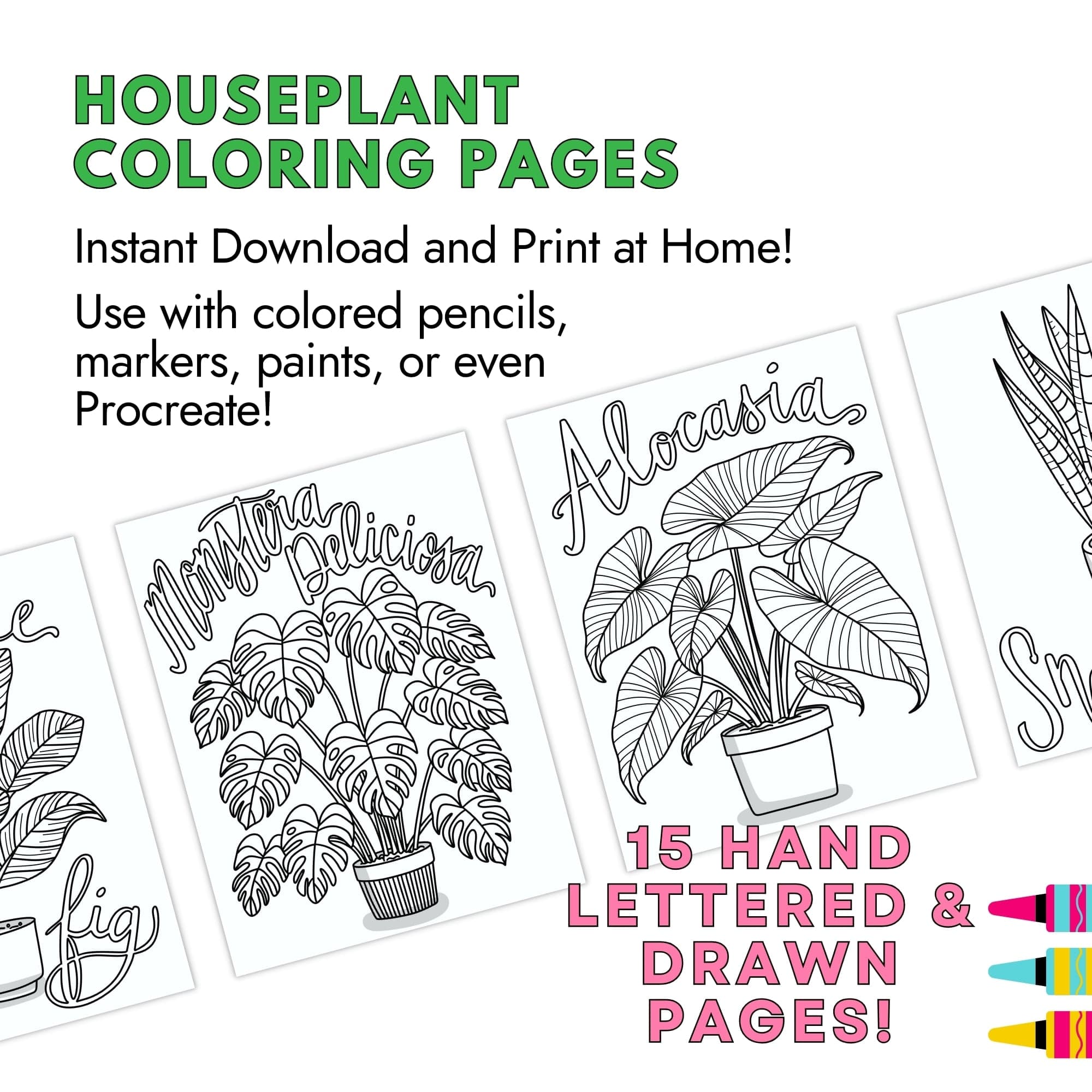 Houseplant Coloring Pages - thumbnail 7