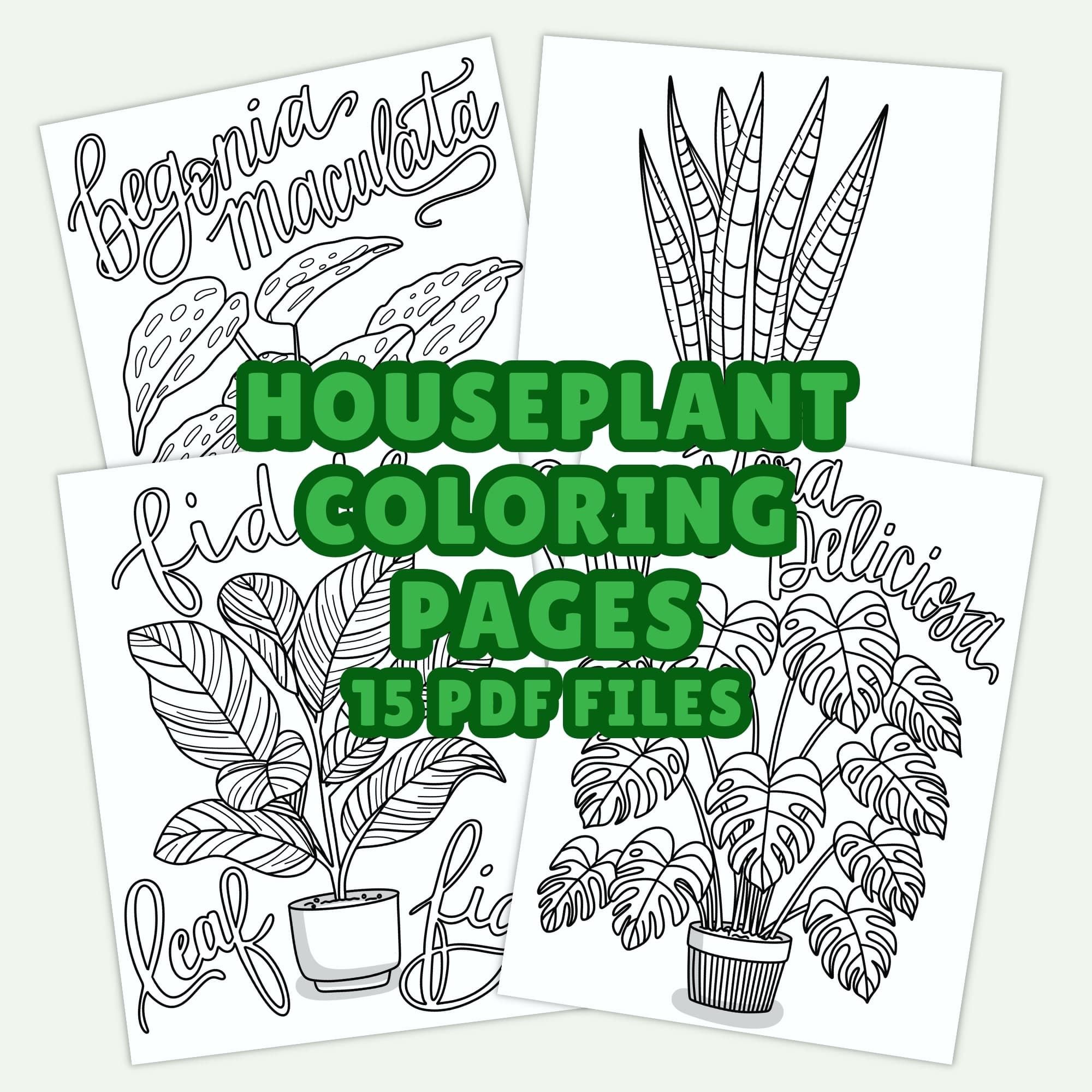 Houseplant Coloring Pages