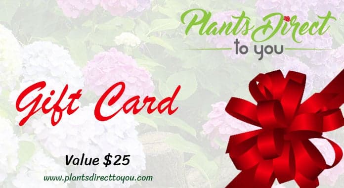 Plants Direct To You Gift Card