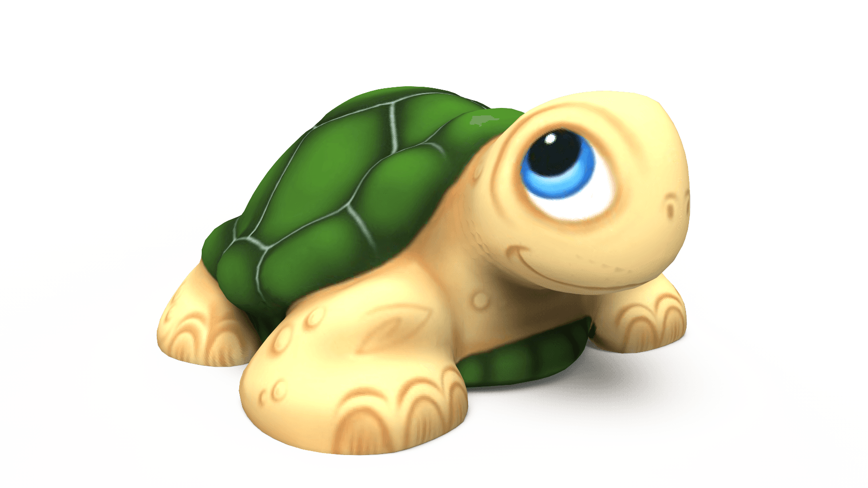 Baby Turtle Climber