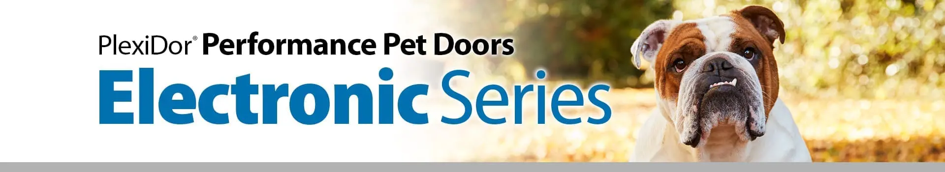 PlexiDor Electronic Dog Door - thumbnail 2