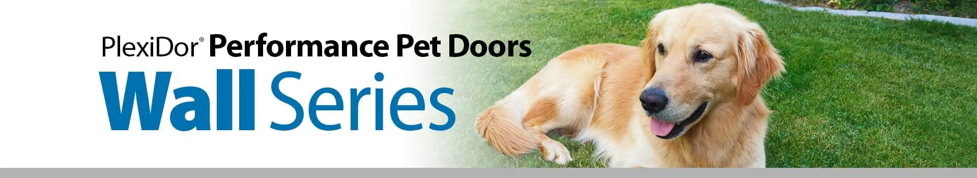 PlexiDor Dog Door for Wall Series - thumbnail 2