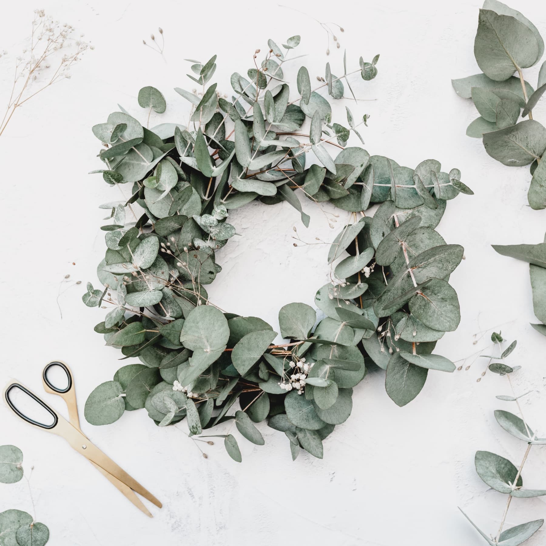 DIY Kit, Fresh Eucalyptus Wreath Making Kit