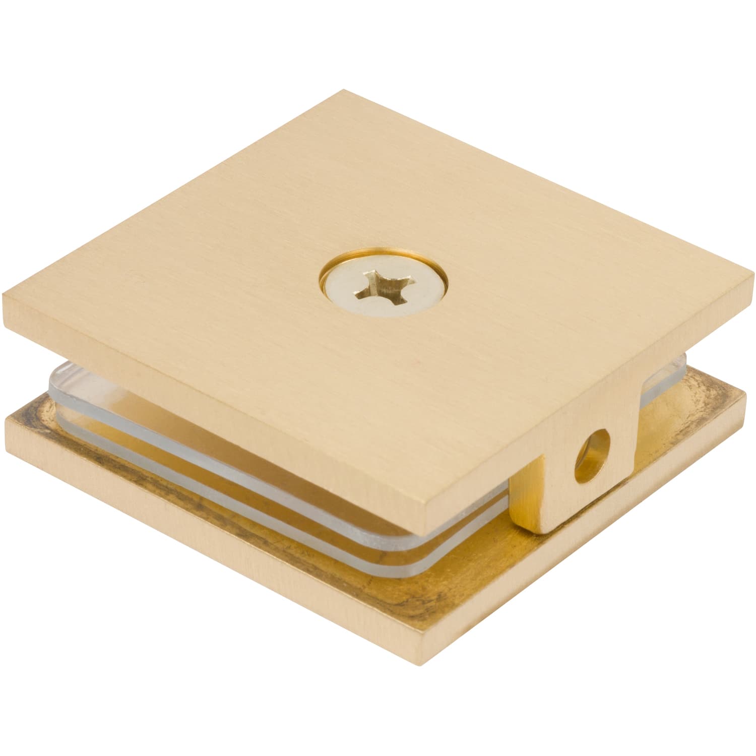 Square Wall Mount Glass Clamp in Brushed Brass Finish SDGCSUS4