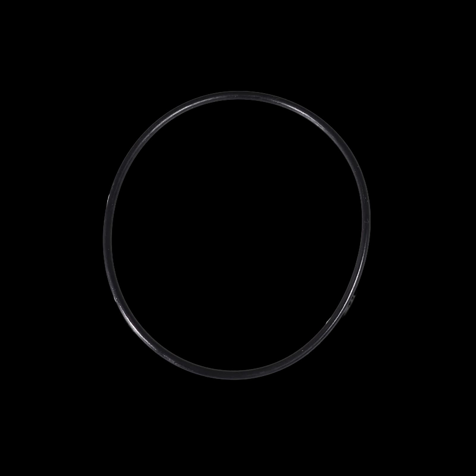 Sector O-Ring