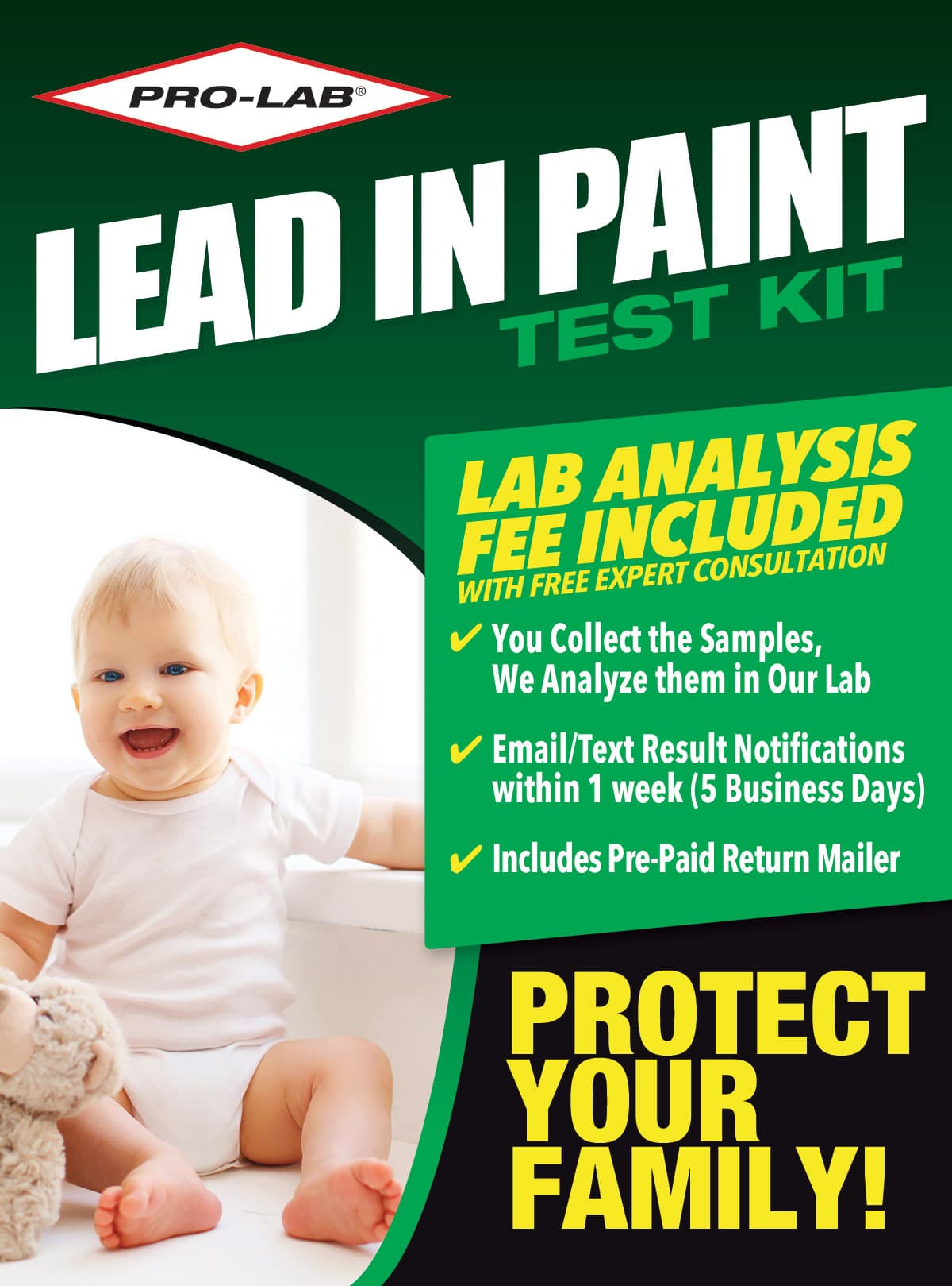 Lead In Paint & Dust Test Kit