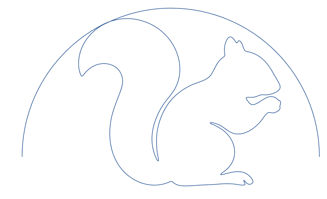 Ground Squirrel Set - thumbnail 7