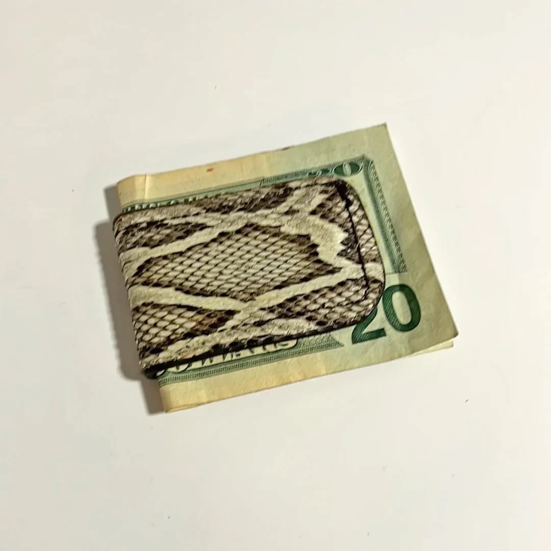 Python Money Clip - thumbnail 3