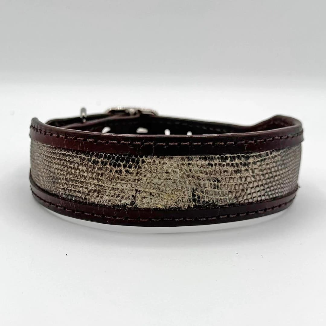 Python Cowboy Leather Dog Collar
