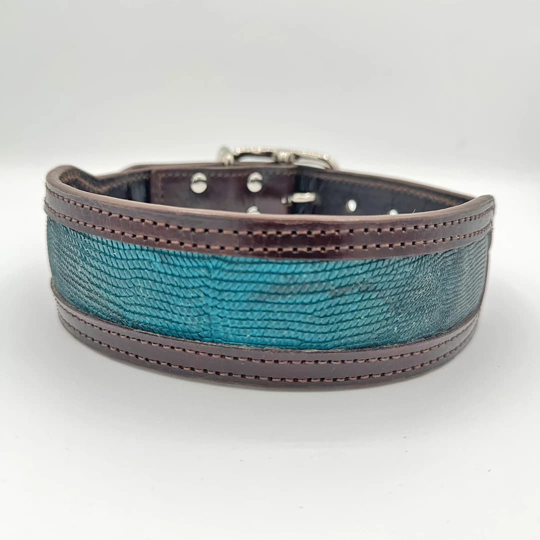 Python Cowboy Leather Dog Collar - thumbnail 4