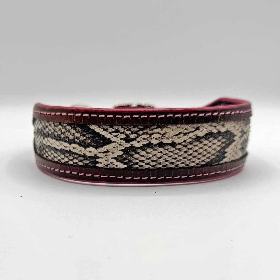 Python Cowboy Leather Dog Collar - thumbnail 3