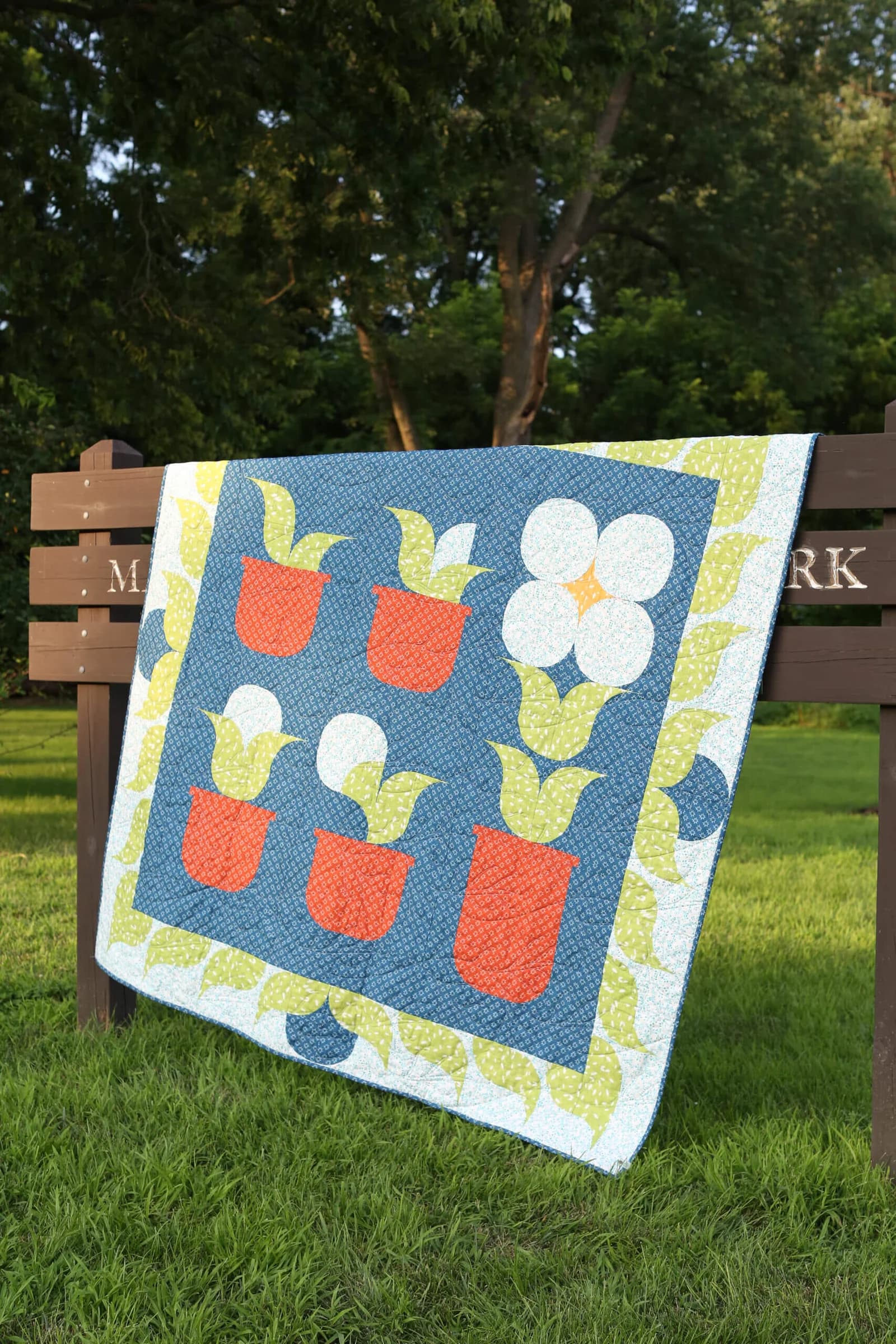 Bloom of the Month - thumbnail 6