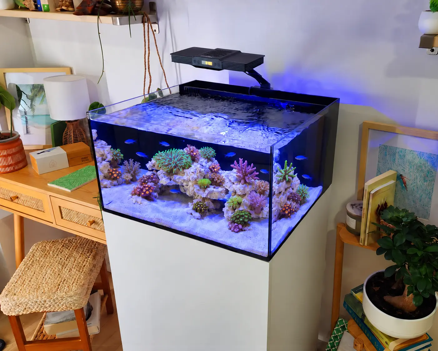 Laguna All In One Aquarium Mark III - thumbnail 2