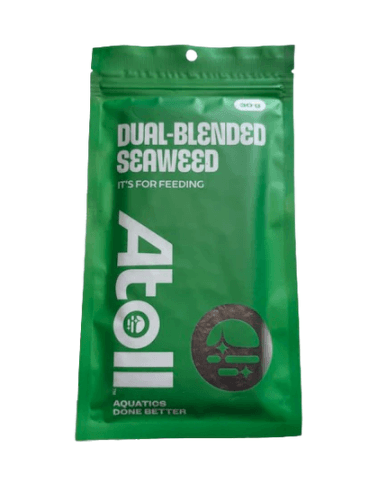 Tangalicious – Tang Diet Dual Blended Nori