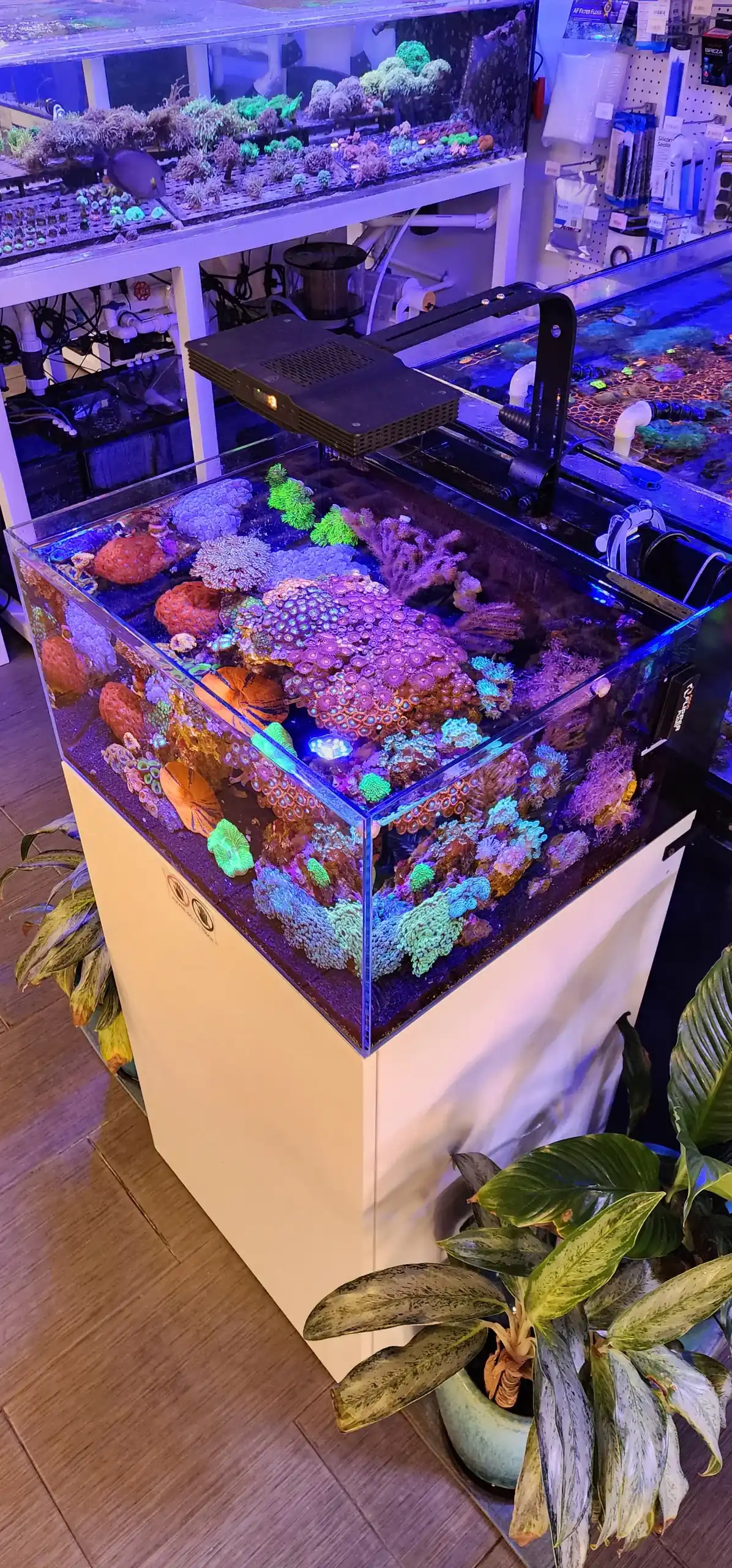 Laguna All In One Aquarium Mark III - thumbnail 3