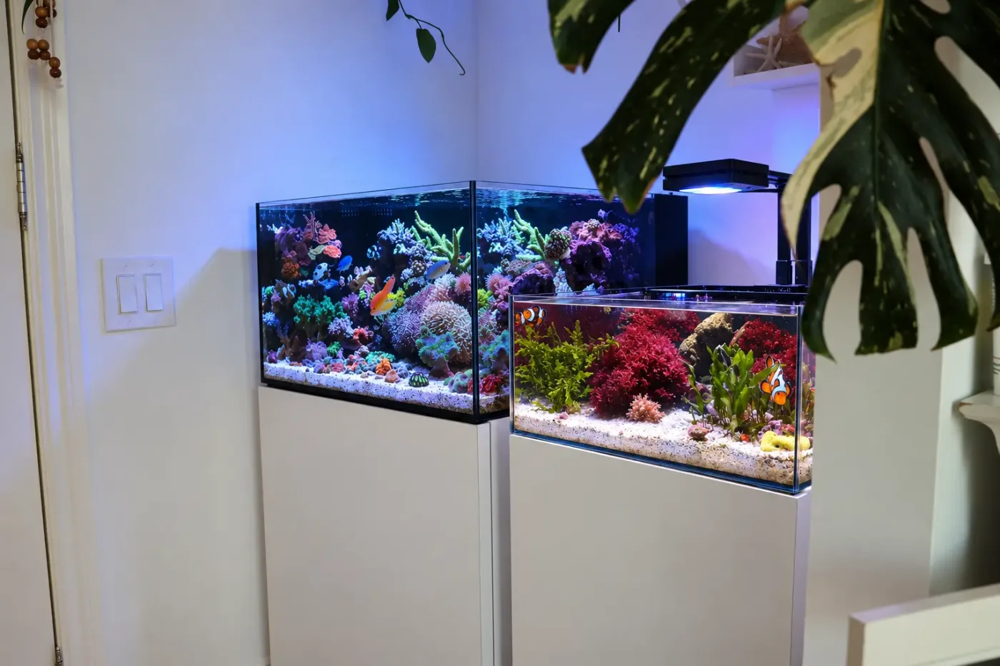 Laguna All In One Aquarium Mark III - thumbnail 5