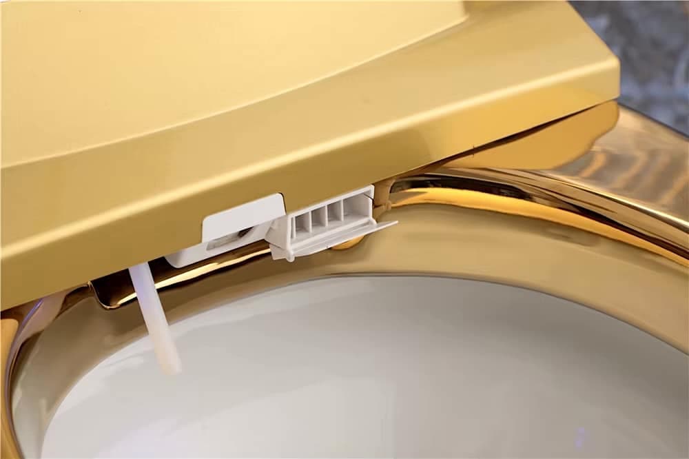 LuxeGold Modern Smart Toilet - thumbnail 9