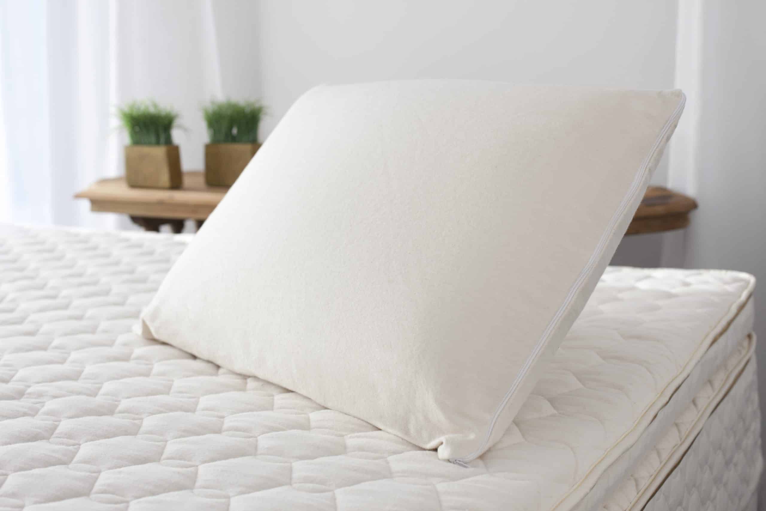 Organic Latex Soap-Shaped Pillow - thumbnail 2