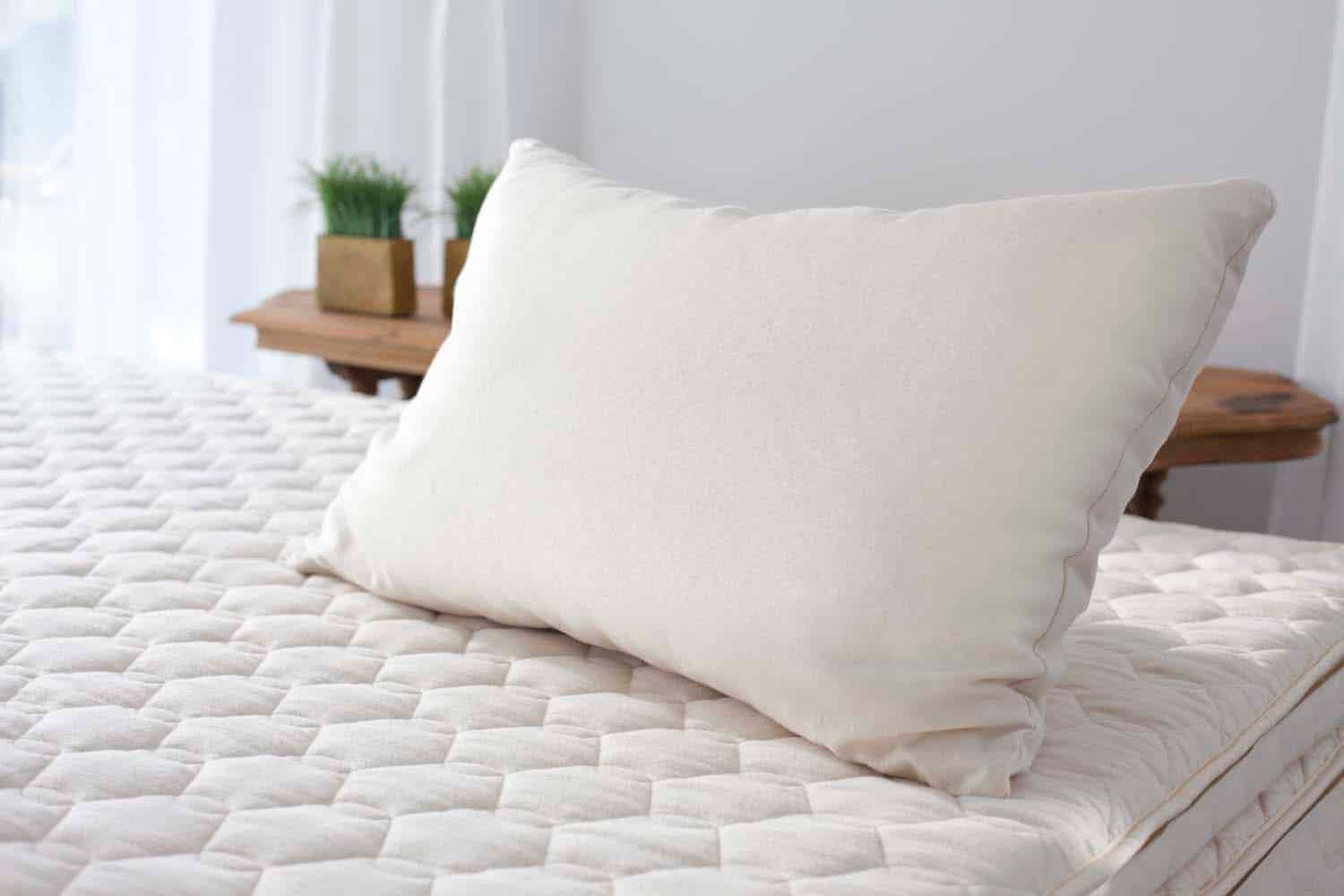 Organic Kapok Pillow - thumbnail 4