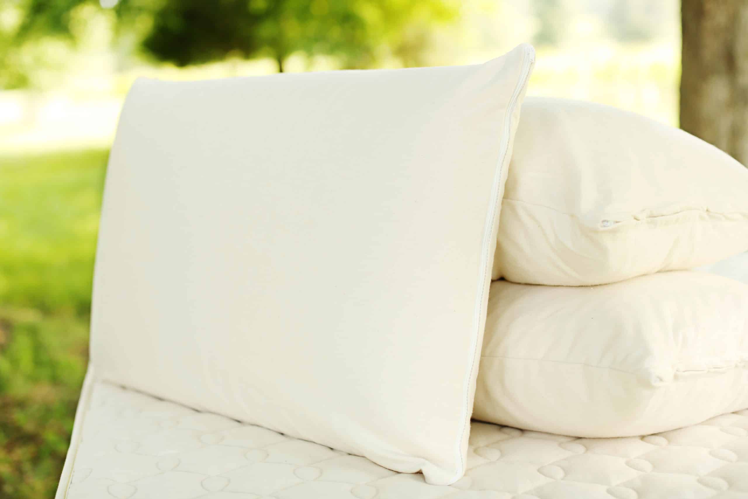 Organic Latex Soap-Shaped Pillow - thumbnail 3