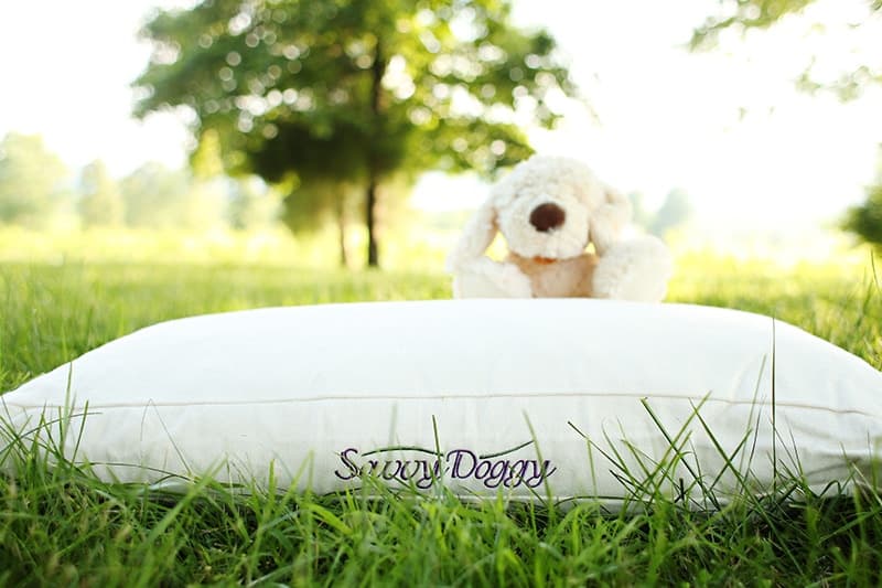 The Savvy Doggy™ - thumbnail 7
