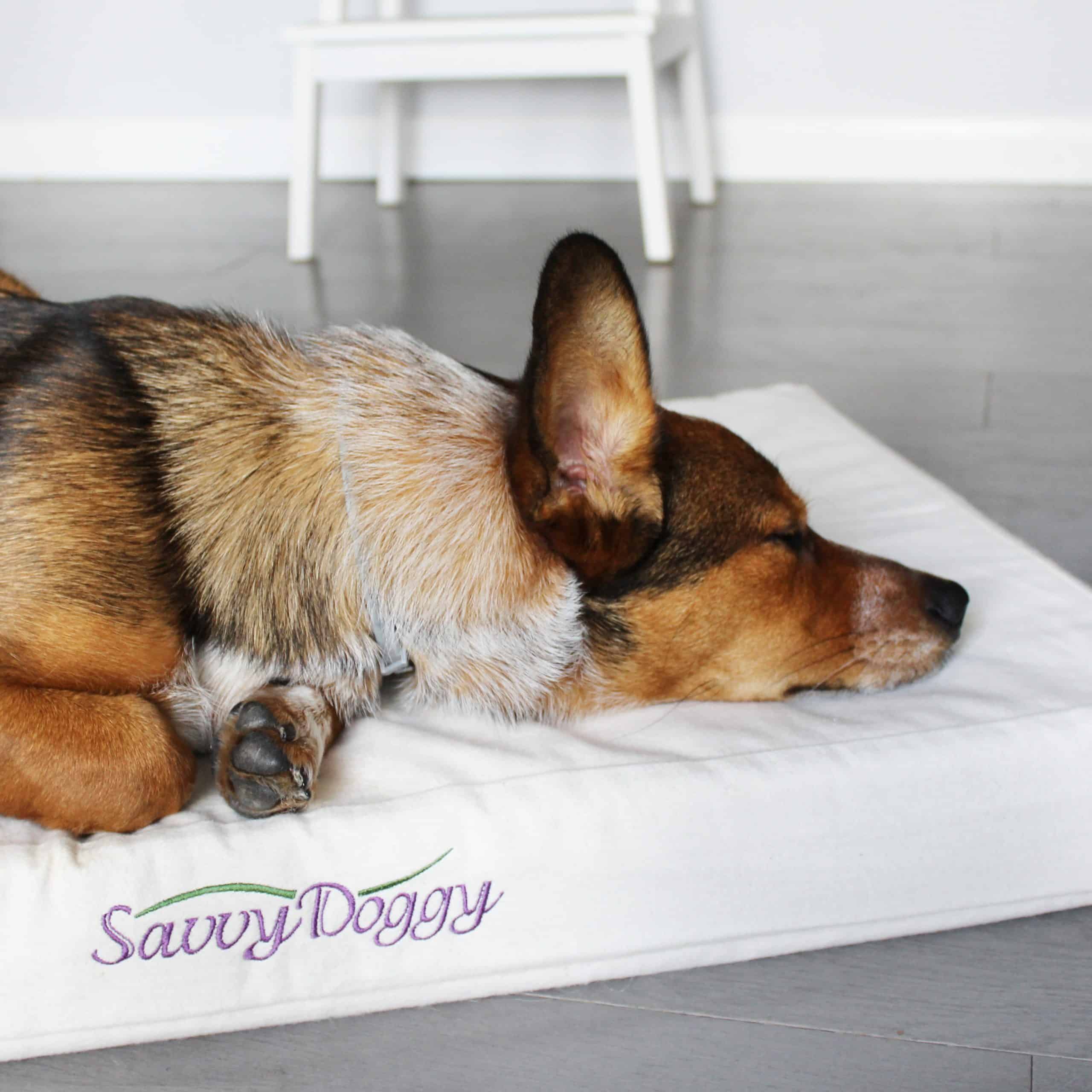 The Savvy Doggy™ - thumbnail 4