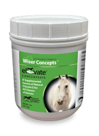 Elevate Vitamin E Powder – Concentrate