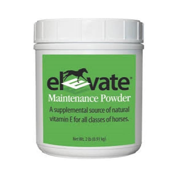 Elevate Vitamin E Powder – Maintenance