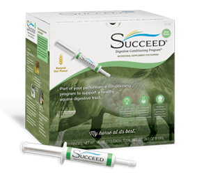 Succeed Paste VF