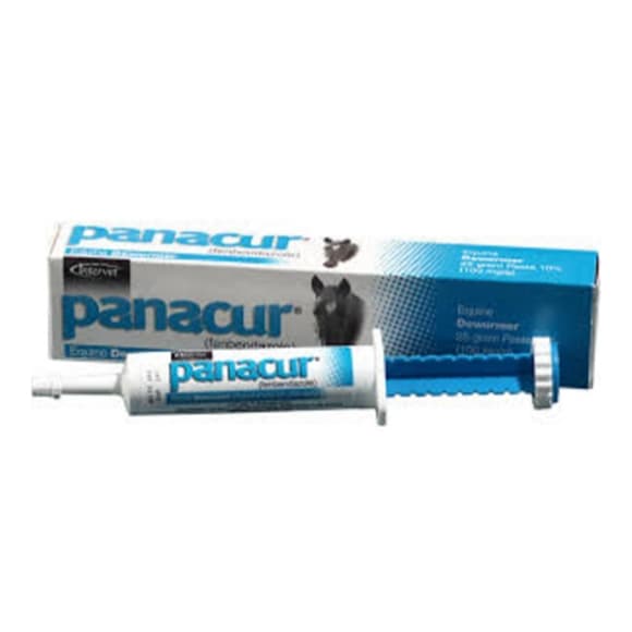 Panacur Equine Paste