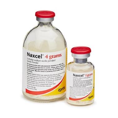 Naxcel Sterile Powder (4g)