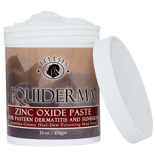 Equiderma Zinc Oxide Paste