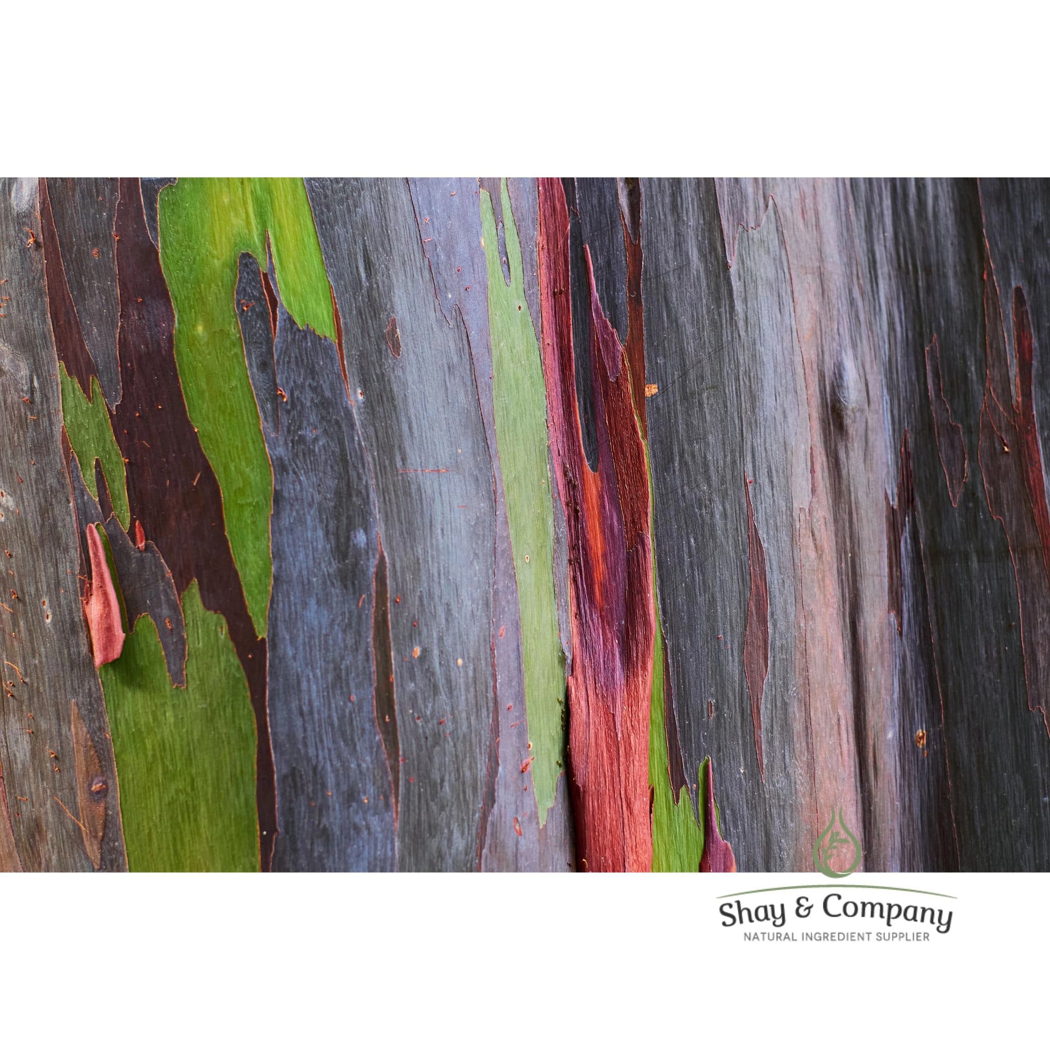 Eucalyptus Mint Fragrance