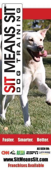 Vertical Event Banner