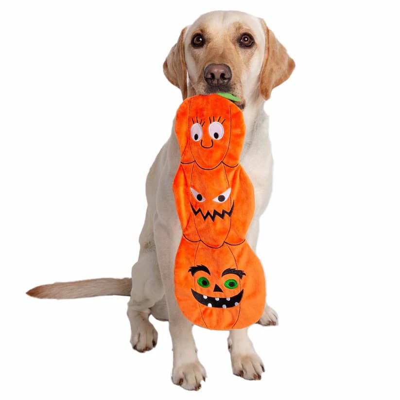 Pumpkin Flattie Dog Toy