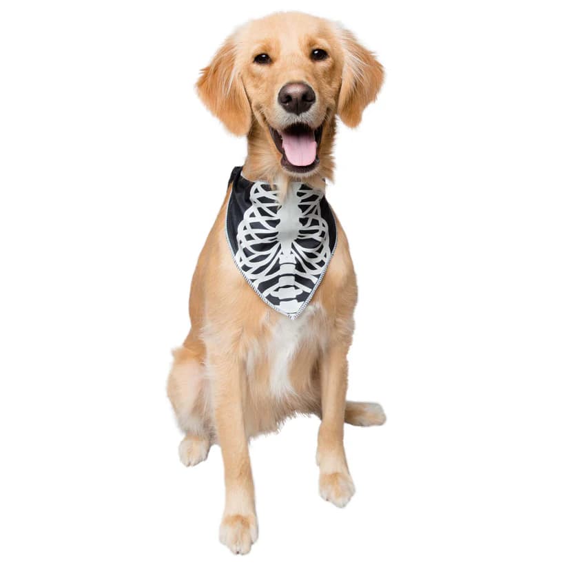 GITD Halloween Bandana