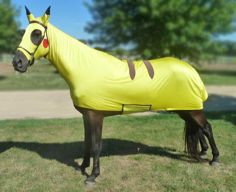 Costumes for Horses – Pokemon’s Pikachu