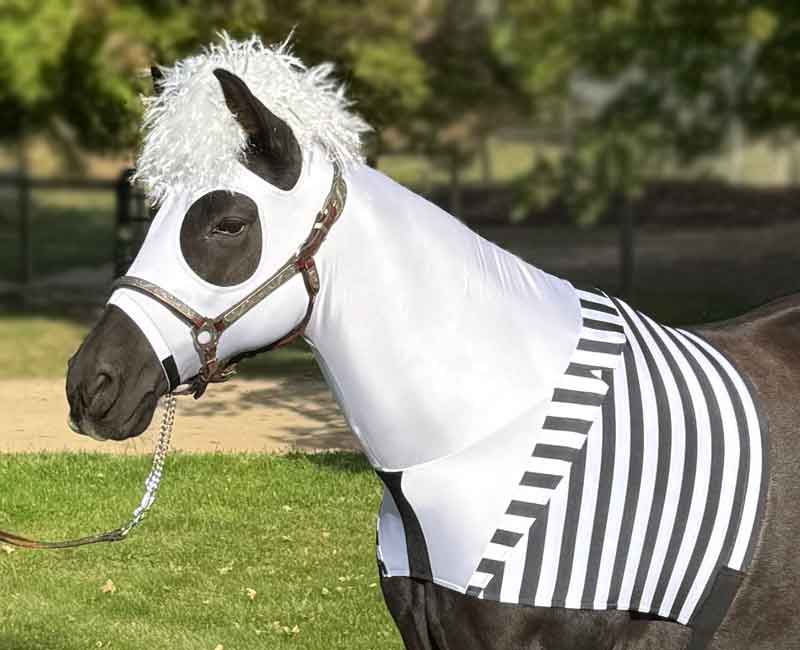 Horse Costume – Beetlejuice