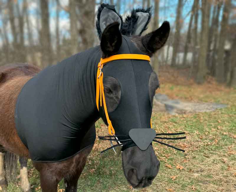 Horse Costume – Black Cat w/Tail