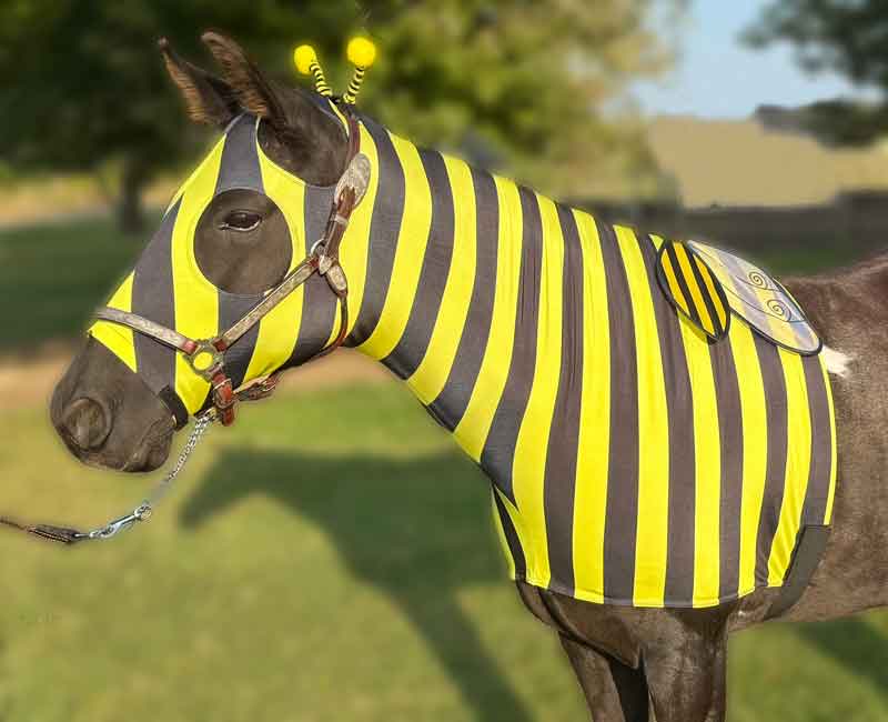 Horse Costume – Bee