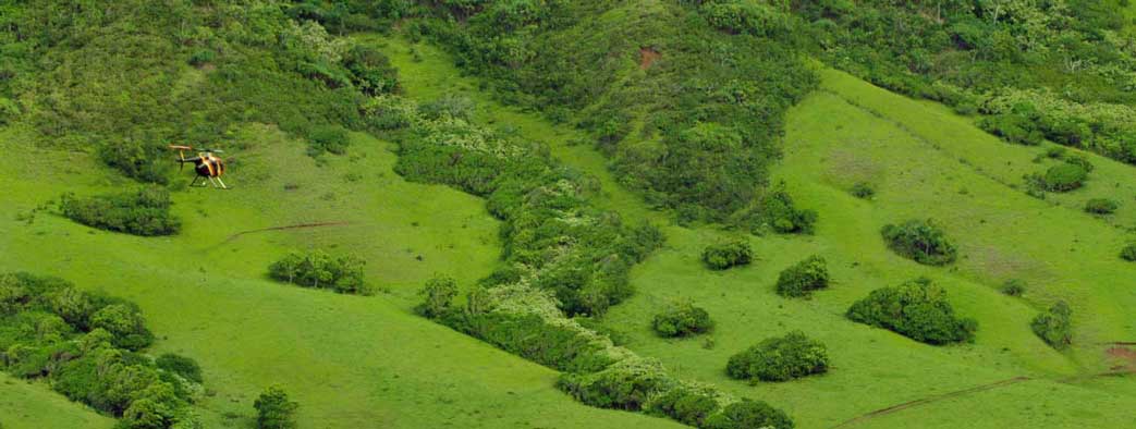Oahu Helicopter Tours – Explorer - thumbnail 2