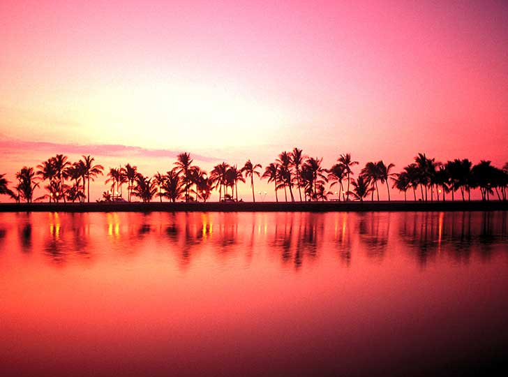 Waikoloa Beach Marriott Luau - thumbnail 3