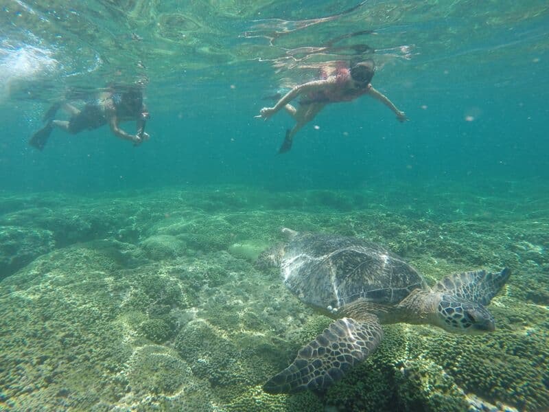 Oahu Surf & Kayak - thumbnail 7