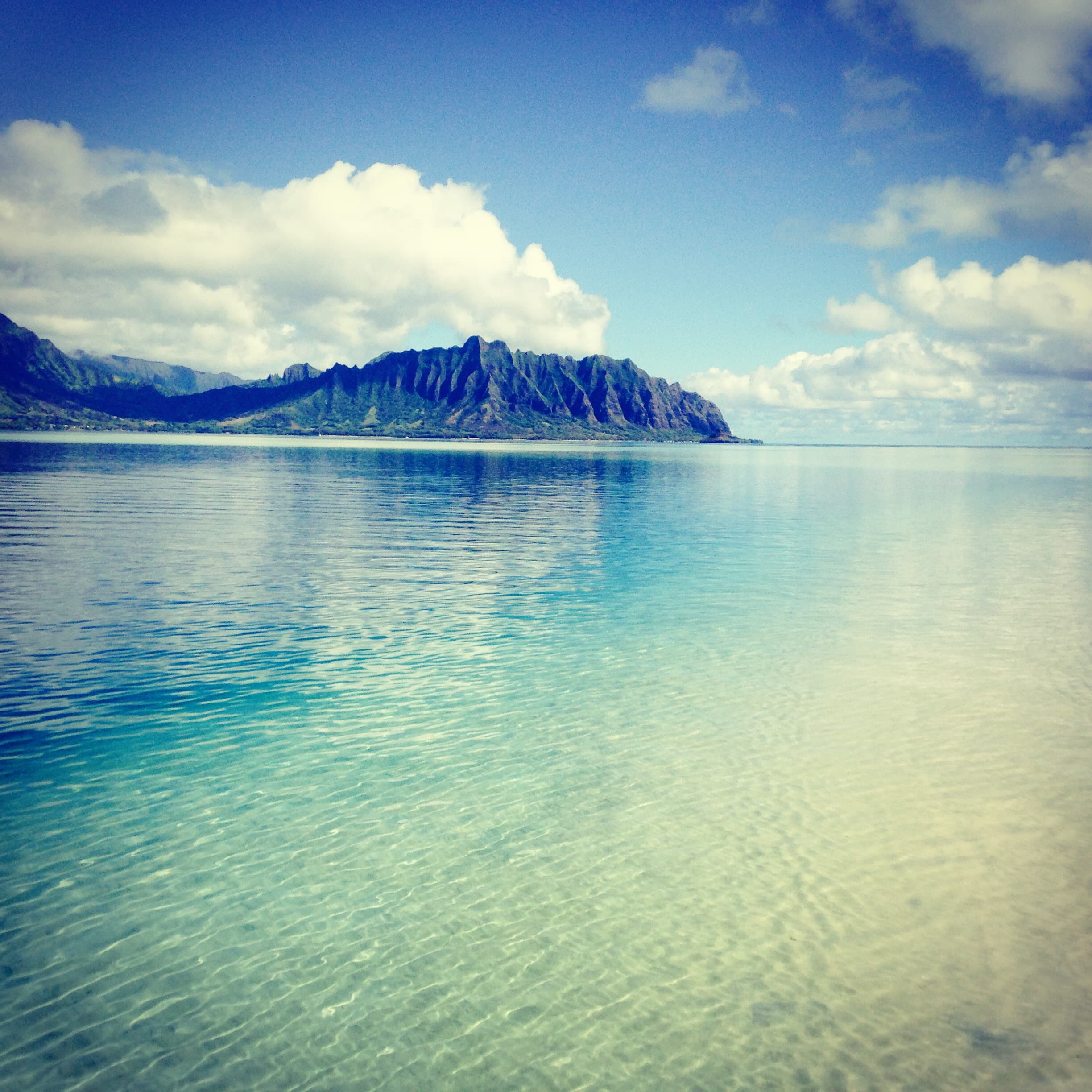 Oahu Surf & Kayak - thumbnail 6