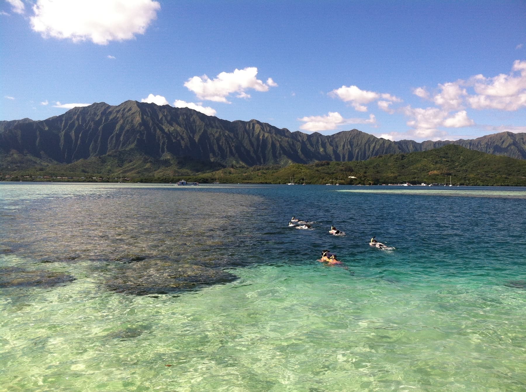 Oahu Surf & Kayak - thumbnail 3