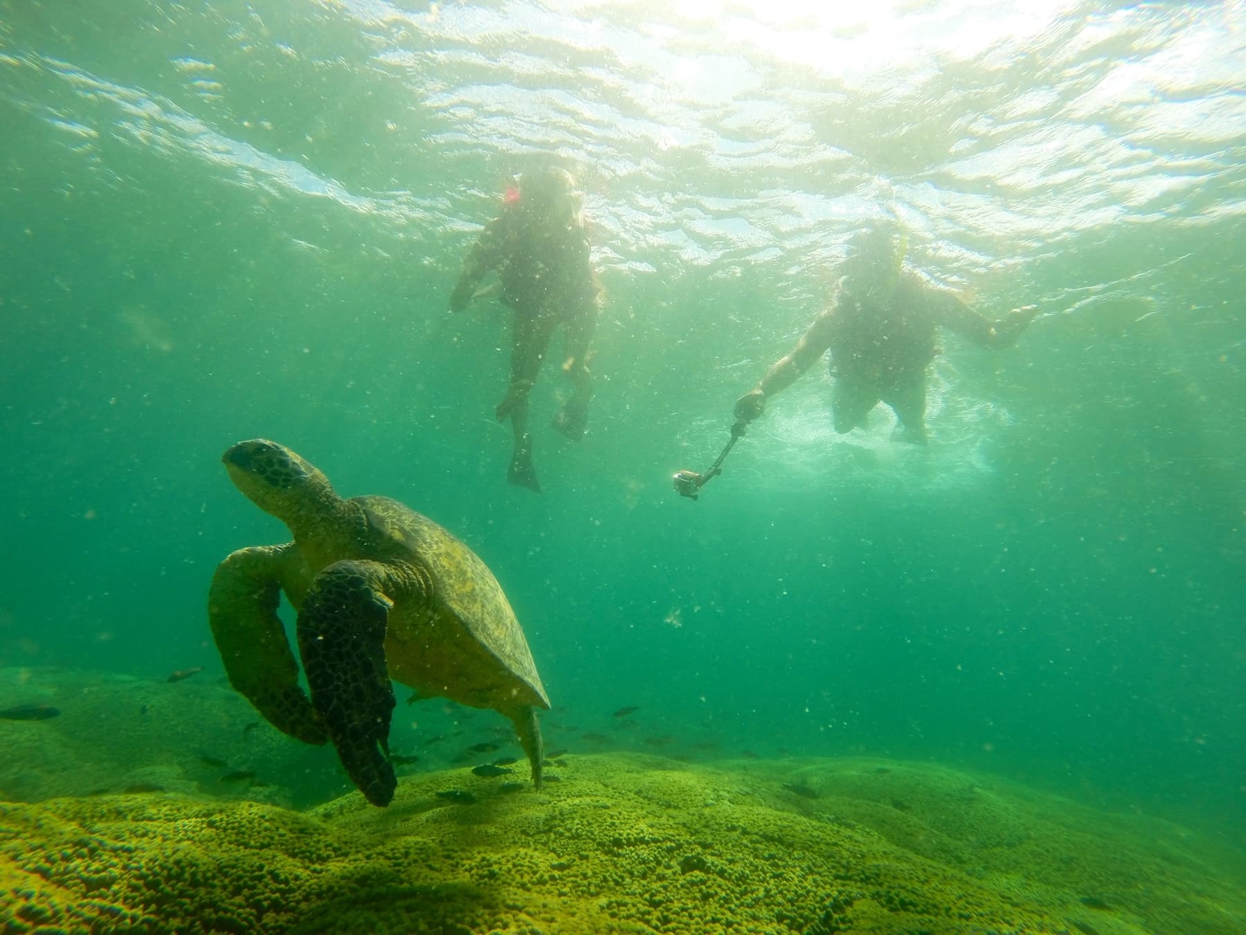 Oahu Surf & Kayak - thumbnail 4