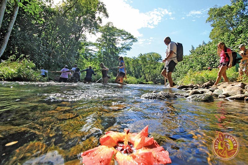 Alii Kayak & Hike Kauai - thumbnail 8