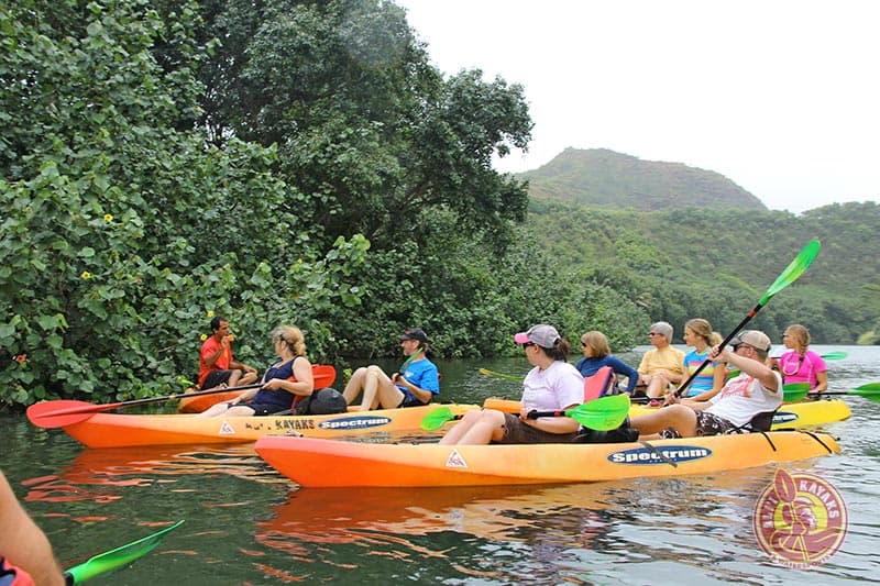 Alii Kayak & Hike Kauai - thumbnail 7