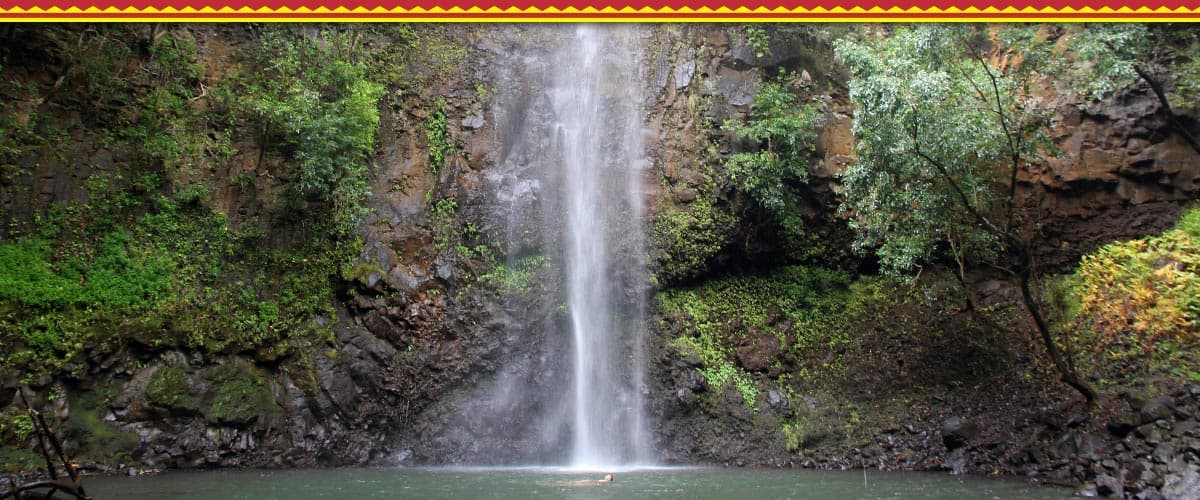 Alii Kayak & Hike Kauai - thumbnail 5